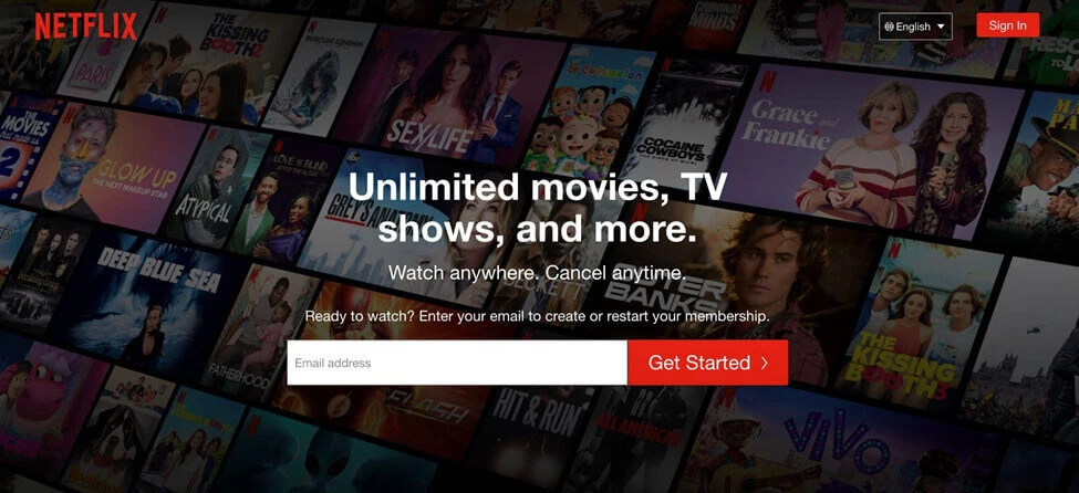 Netflix website preview image